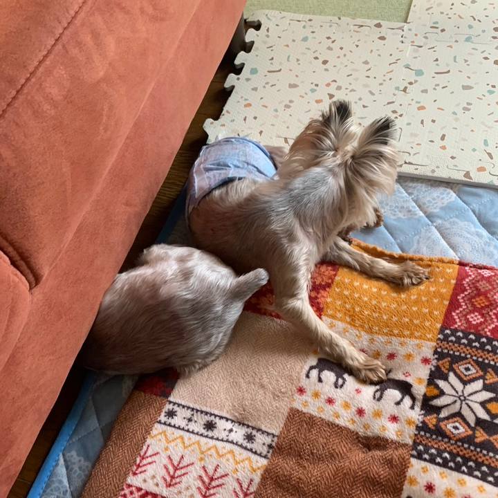 Ac5cff90 e201 44e1 b6eb 332511c86000 1687860989663