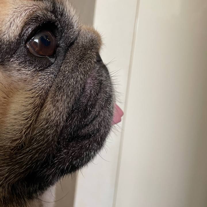 Ac5d3a7a 6078 44a4 acb3 1e72b7e6bc1c 1717847939770