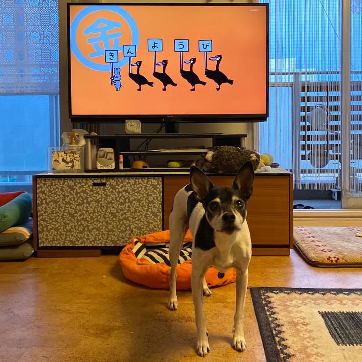 Ac5d56e2 b4e8 42c2 9b0e 53f467080bba 1605823895669