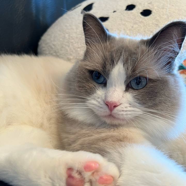 Ac5db7ce 9e2a 4c7a a63a 709c703cba7e 1656398693005