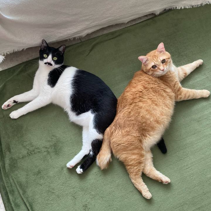 Ac5dfee2 7c76 436b ac19 26bdde4a5d1e 1772191362027