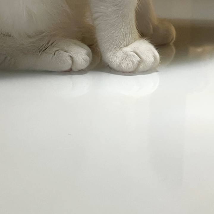 Ac5e2c1e 18df 4a15 a35d e677b683fe90 1764592802771