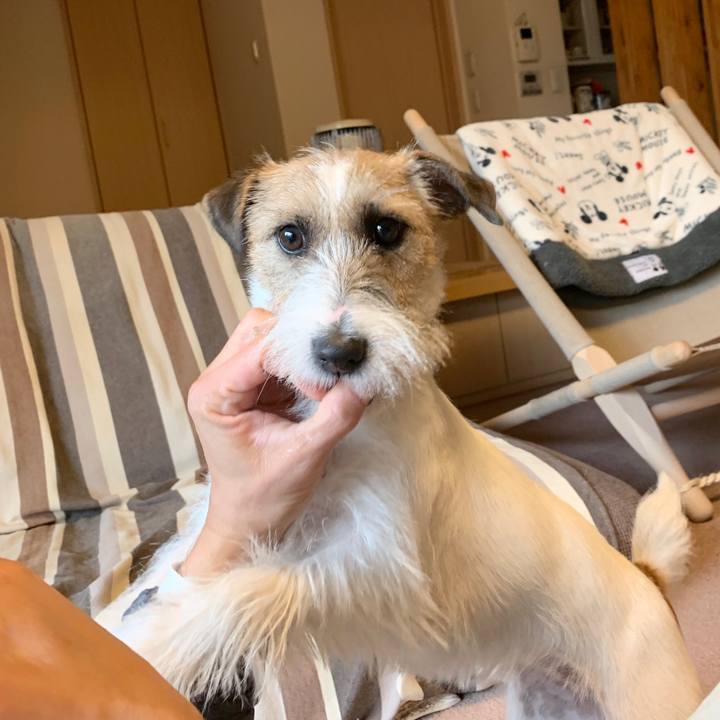 Ac5e3350 183b 4915 9581 7770846cc929 1578810451138