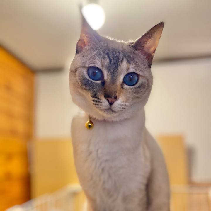 Ac5e89a6 94e1 4195 9975 a112b41feef9 1706068252252