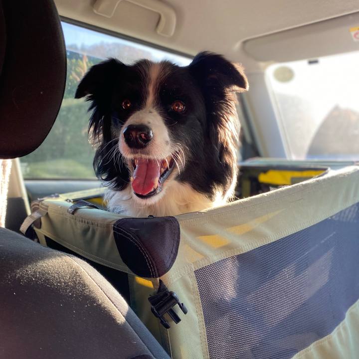 Ac5ebcba d392 47e7 81f4 a8f139db91d6 1638168629334