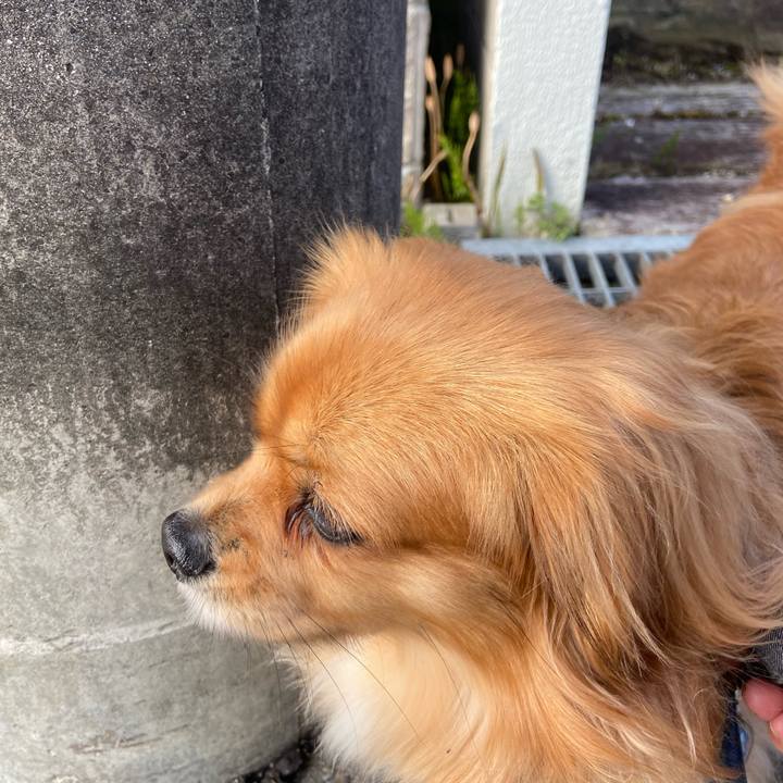 Ac5ed5a0 9e52 4e2a bbf8 23bcfacf0885 1584486822169