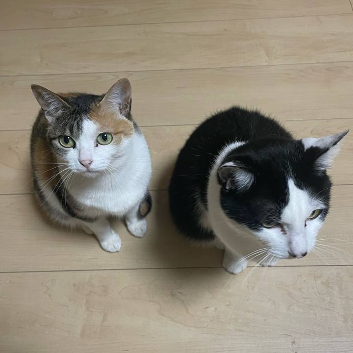 Ac5ed769 77af 4ea4 b80a 116c8ed012f4 1651840821115