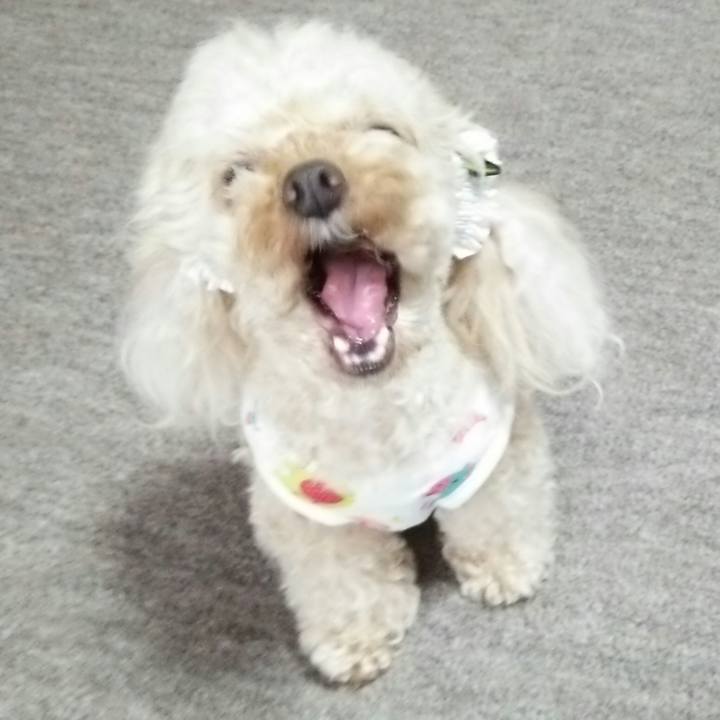 Ac5effa9 1c65 4f28 8b26 cec0dc9edc80 1532766126709