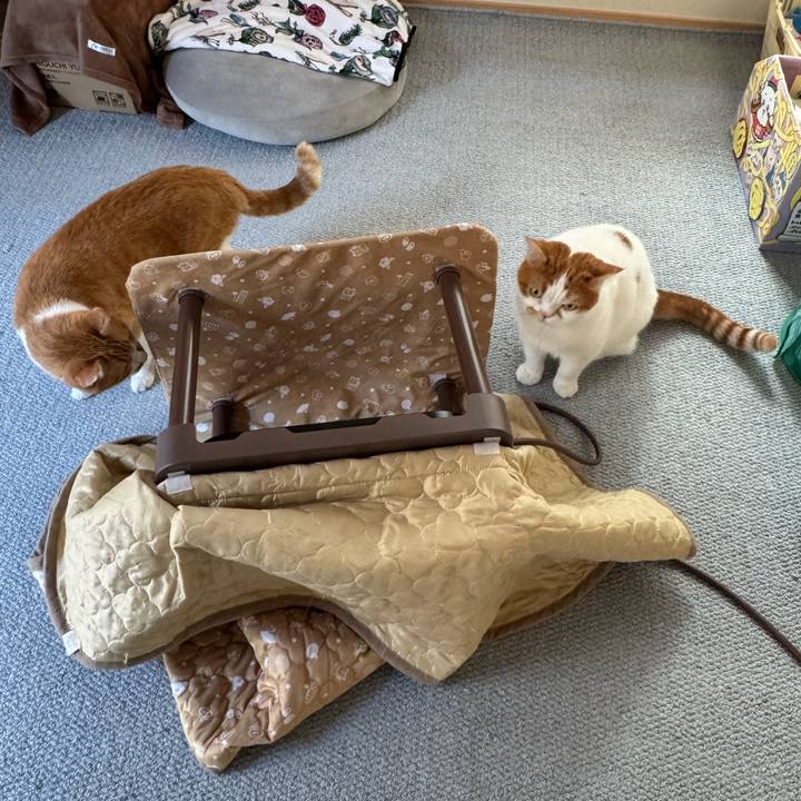 Ac5f8835 0380 4eef b78c 2f679d973ee8 1765161659844