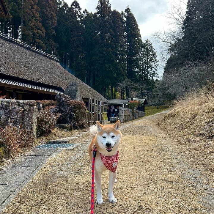 Ac5f9544 9820 48ef b334 a581ab08403d 1708159888765