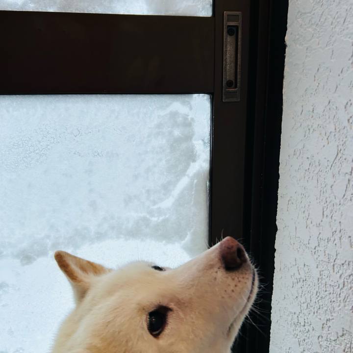 Ac5fa0b1 16cc 46bd 9be8 e14c36a88437 1771461065348