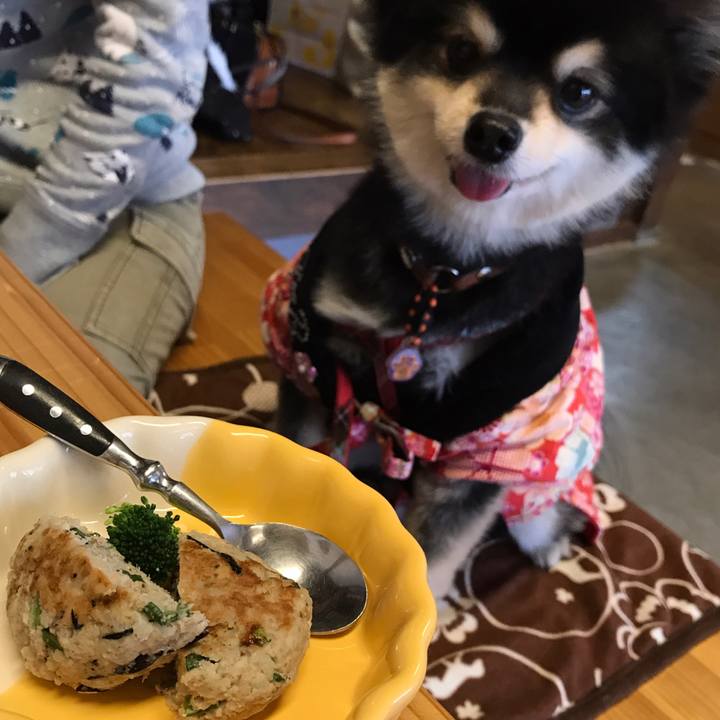 Ac5fd8d5 1f21 48bc 8134 902b97d2286d 1550658353738