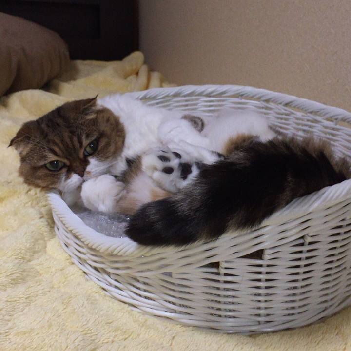 Ac60022b 8642 422e 807a 31a30815dd4a 1510843384979