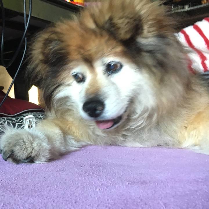 Ac600bff 06d6 4581 bc51 b6fa5a887fe0 1591040377704