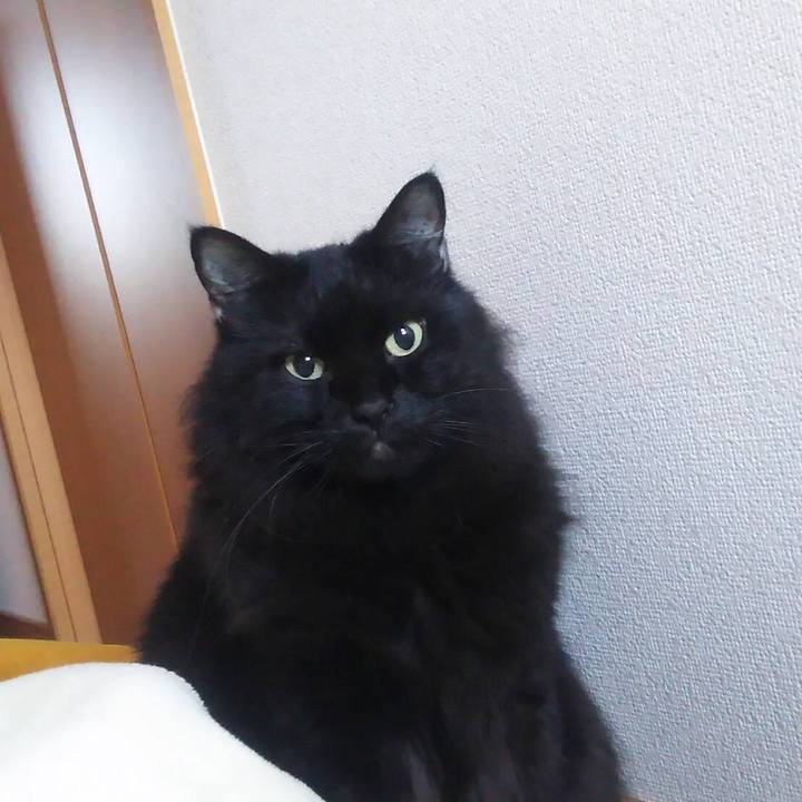 Ac60466b 04cf 4797 962f 0035a0b373f9 1572273153742