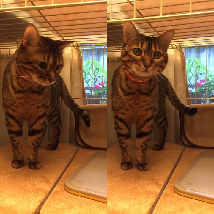 Ac604bbc 2bc8 4a77 94b6 f5c238f6d99d 1521329986991