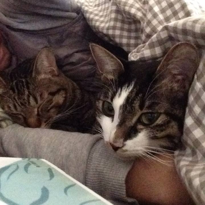 Ac605f60 421c 4e88 ac35 3e1f89fe4a1e 1513368577381