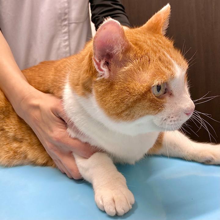 Ac6095b5 a8a2 4744 9e8d 9b2740f21020 1659342564163