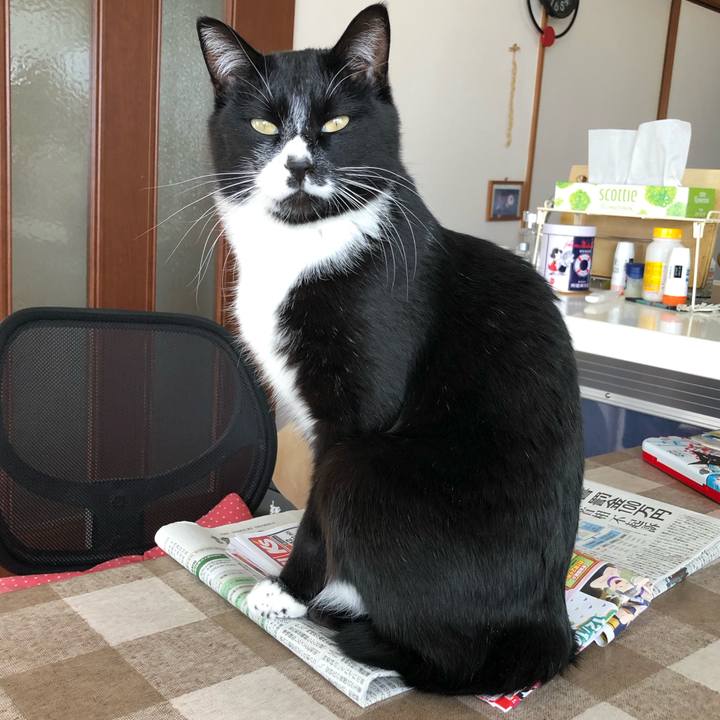 Ac609e02 2d43 4fa1 9347 2da1bfb296e3 1609991266888