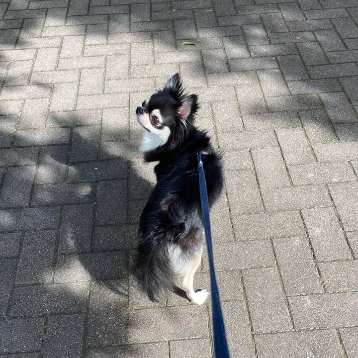 Ac60f20e fea7 40aa abaa f5e8aae0fa76 1663411262878