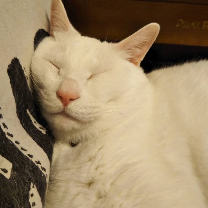 Ac60f5a0 a2bb 4baf 961a 78a3a58291be 1621867442133