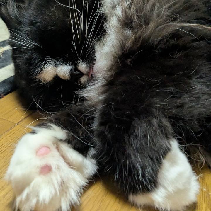 Ac61255f 9055 49e5 9a56 93094ef73864 1755747318629