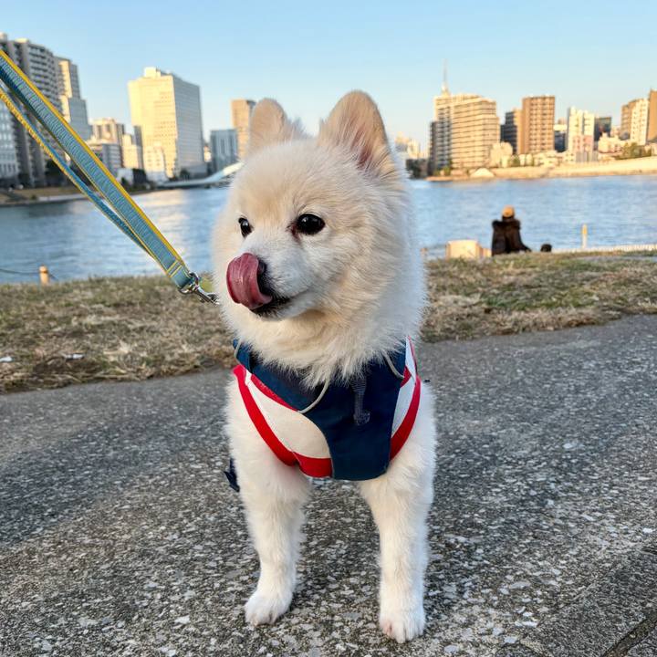 Ac612637 6f39 4db5 a5f1 27afb2635d55 1768737981071