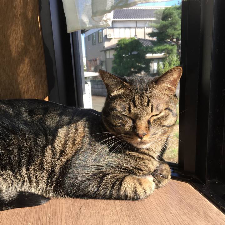 Ac613dc7 716f 4abd a546 0173fc4c0ee4 1508200705542