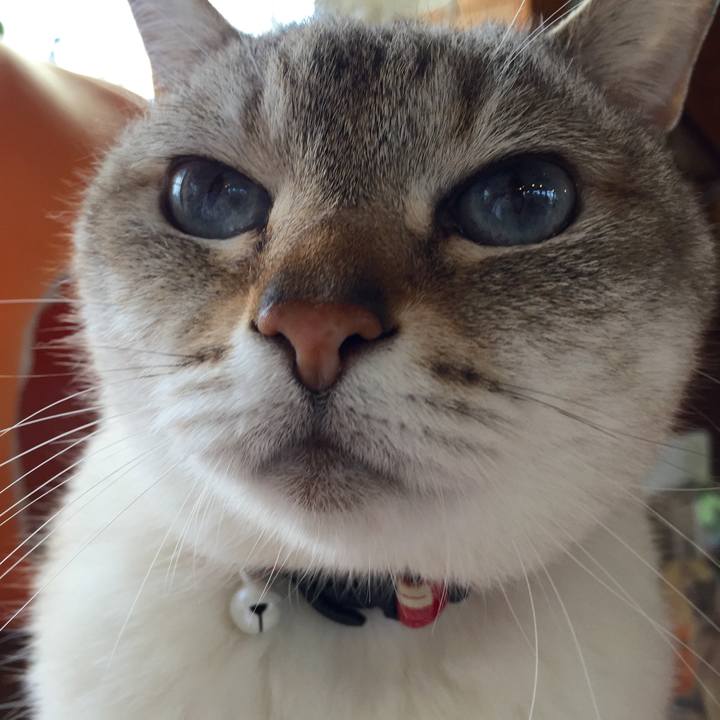 Ac614392 783e 4dff bc6e 91fe73a4d150 1527305813721