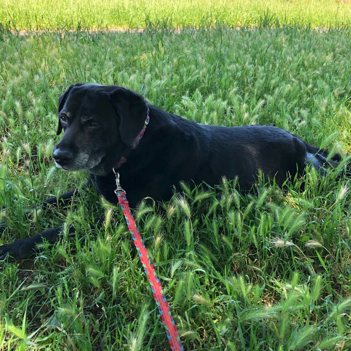 Ac616725 dd41 4acb a6b7 665f8007b1e4 1590716074161