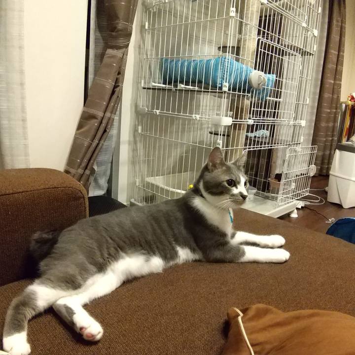 Ac616fd5 7d8f 4ac3 a551 a271ea88fb6e 1596984295033