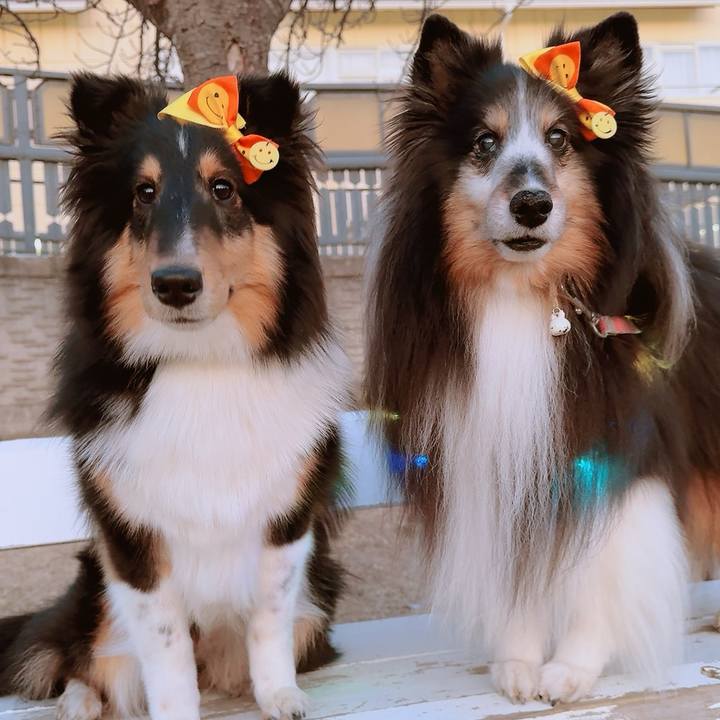 Ac6183a8 c664 4f99 afa4 e53c4aaad7a8 1740583476824