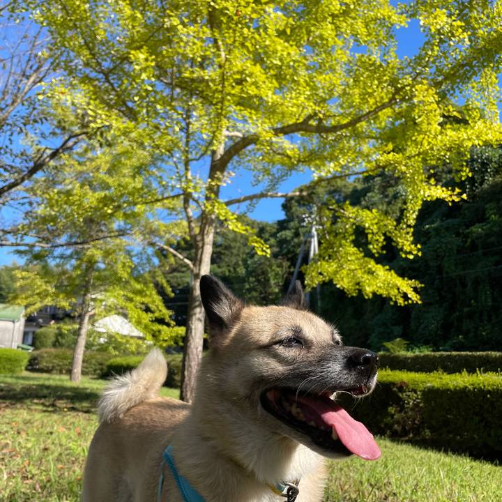 Ac6195af df12 4eb5 9dd7 3c86ecd05198 1728813989225