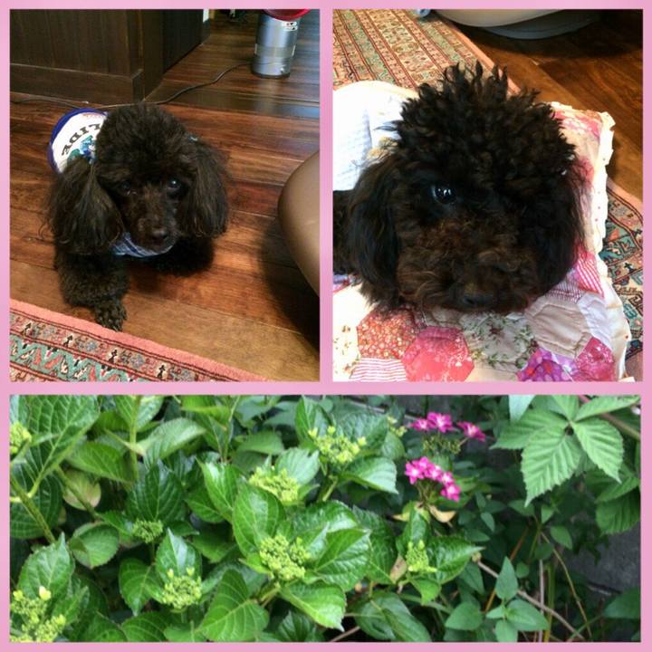 Ac619717 e4b3 4e17 8436 3c4509fc04d3 1526800580769