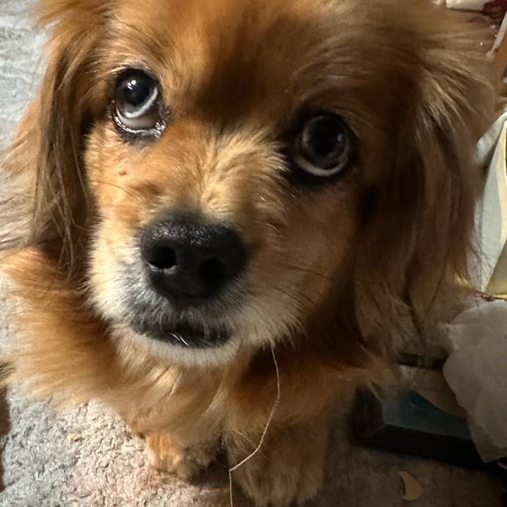 Ac61ac20 0798 4771 a344 4a82b05a6090 1709154587331