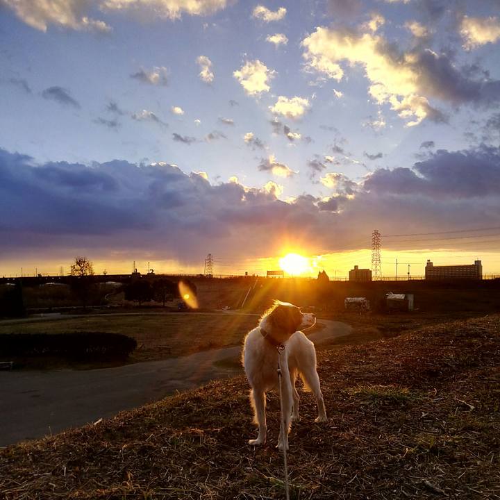 Ac61bd8d 1718 414e 9103 1cfdfb16c638 1515228314092