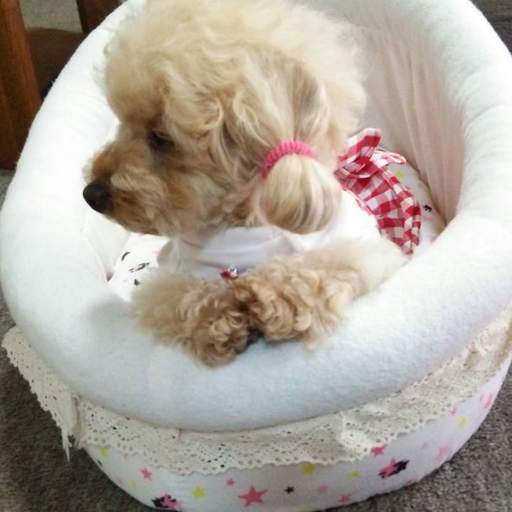 Ac621876 9f24 462e b558 b0079d54e43b 1531142689504