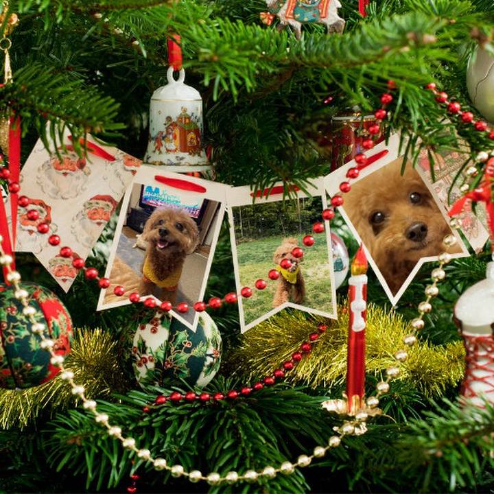 Ac621e5a 6b3b 496d a742 b10d6e8dbdcc 1545604442688