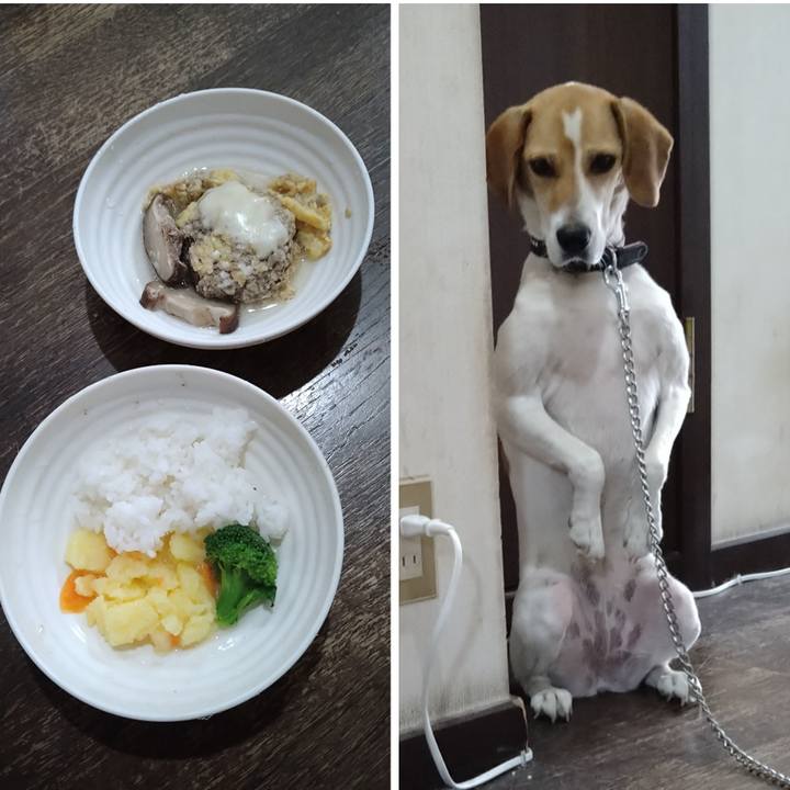 Ac624e79 fc80 4ccd 91ff b771b51a55f8 1625557652026