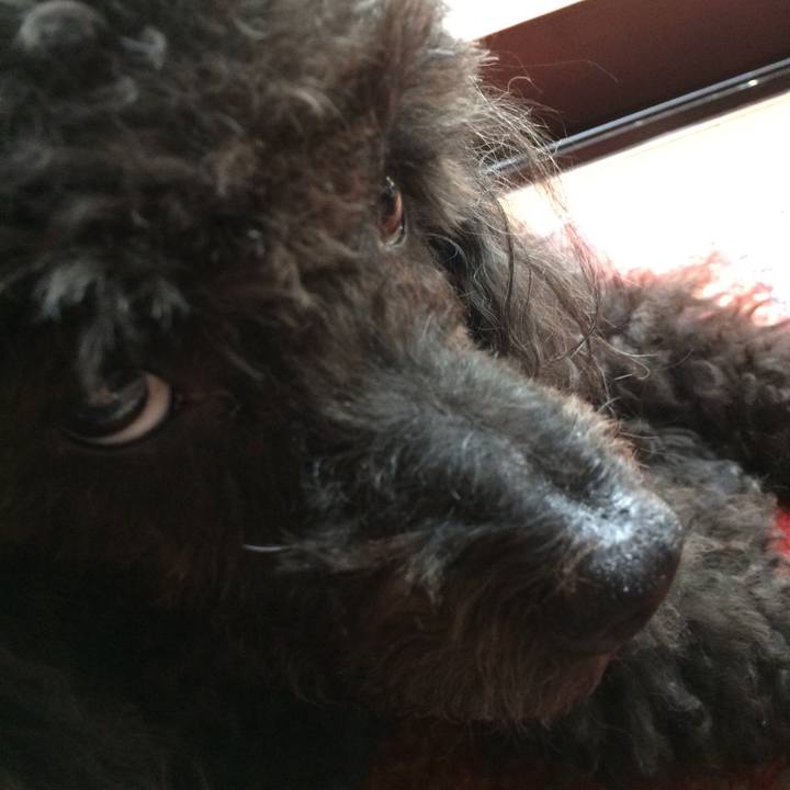 Ac62642e e424 44e3 b6b7 4049495d596b 1532653737590