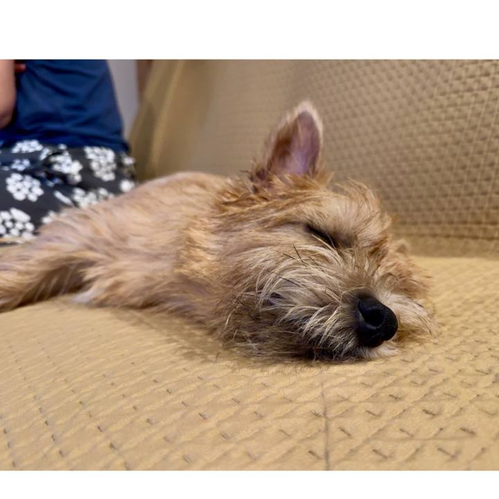 Ac626869 8d28 40a4 9f79 1b0144e6994f 1727619663090