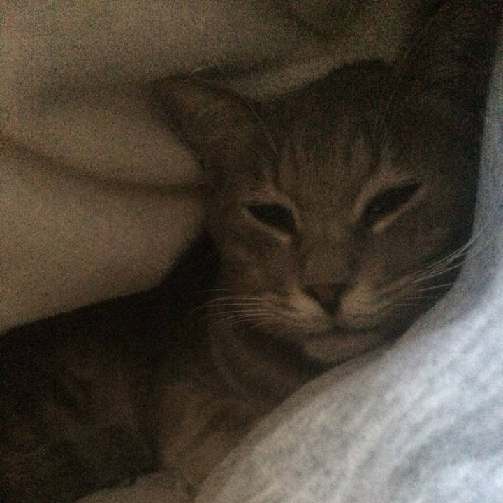 Ac62bacc 035a 4613 9c61 226ff50308a1 1546142991458