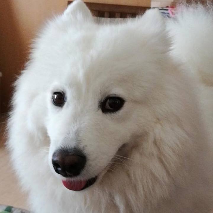 Ac6310e7 4897 4612 8209 c257d4553631 1571713383045