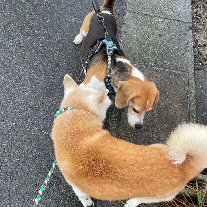 Ac63147f e55e 497b a126 7584db1865fc 1668990583022