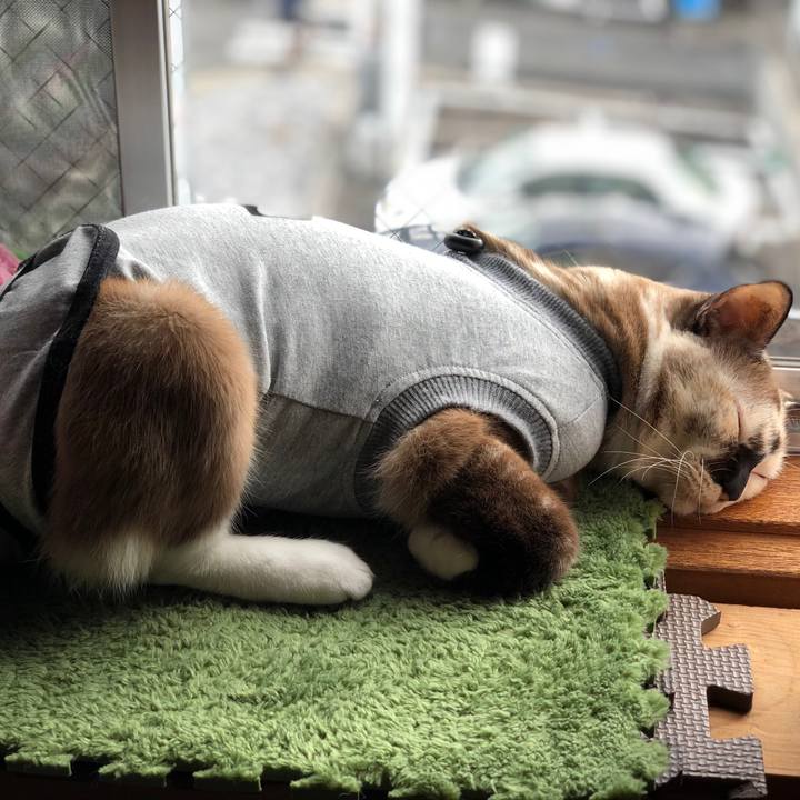 Ac632522 f0e3 4563 83b2 6c14e77d5954 1666603250952