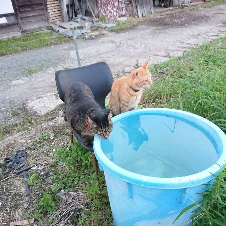 Ac6325f7 031c 4a16 84ae 7a97021aa5ff 1661765410185