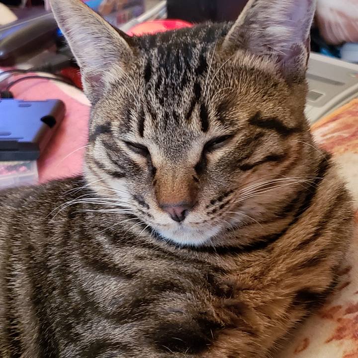 Ac637cd7 5746 4a6a bfab 0fb69d22d065 1544326338153