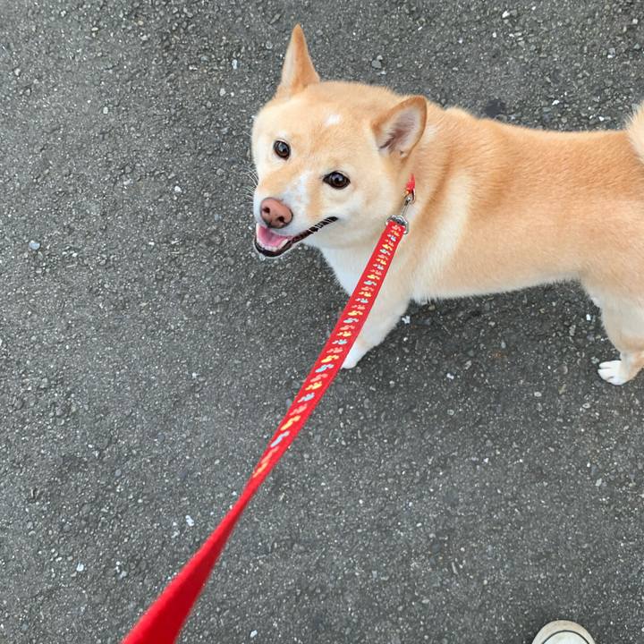 Ac6392be 082c 415d 96aa 7f0c21fd1c84 1630841240608