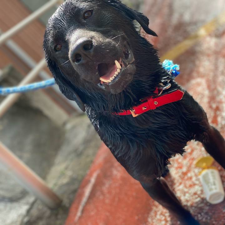 Ac63a3d9 7096 4c24 86a0 a9e126a2b302 1617109517187