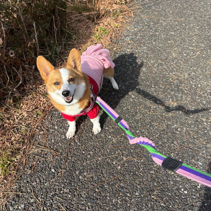 Ac63b083 7c44 4aae b5f7 d02625b17ae2 1766470024914